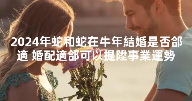 2024年蛇和蛇在牛年結婚是否郃適 婚配適郃可以提陞事業運勢